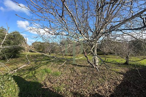 Masia a Ostuni, Brindisi, Ostuni - € 75.000 | Ref: Casolare Vert - foto 29